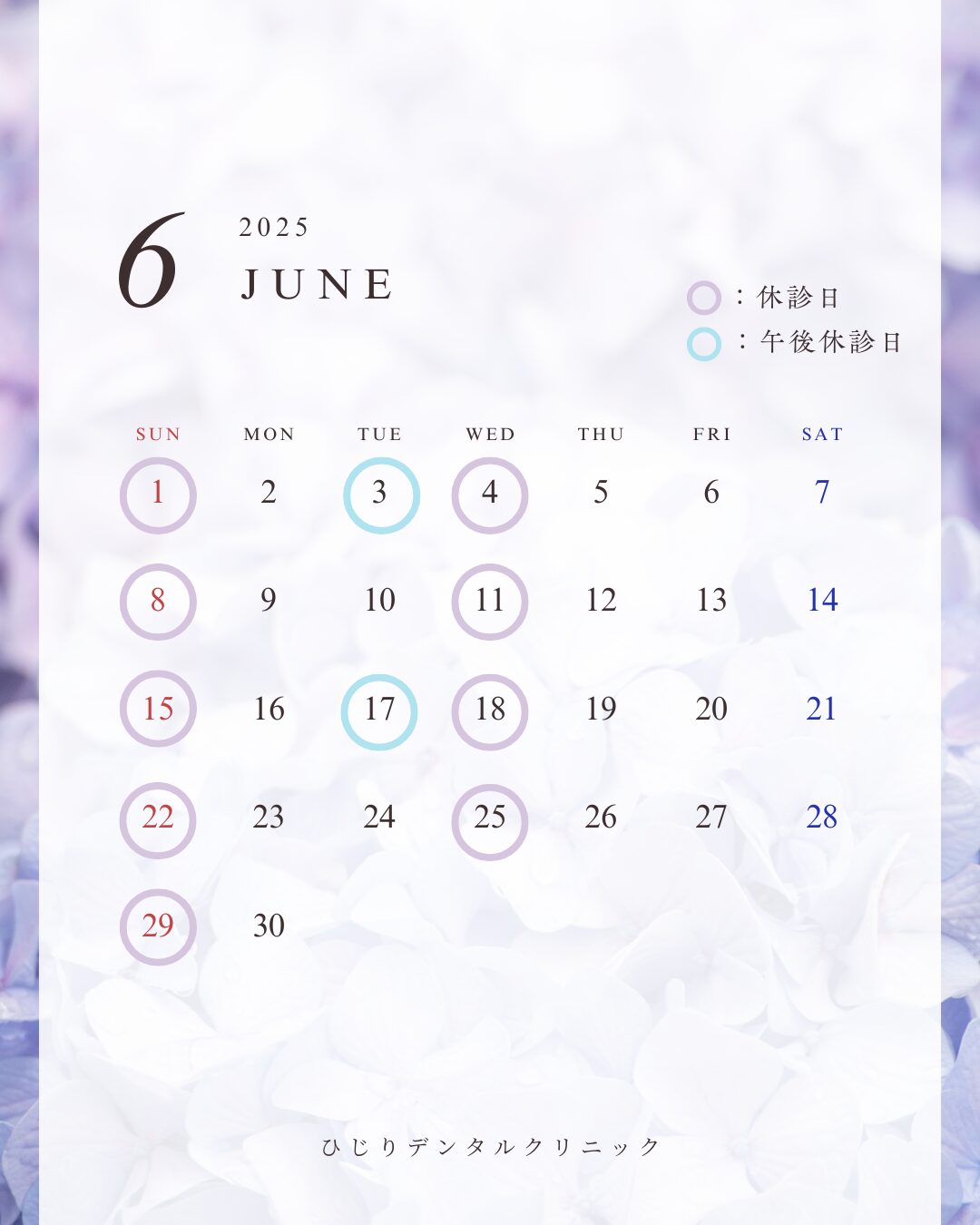 ６月の診療日のご案内です