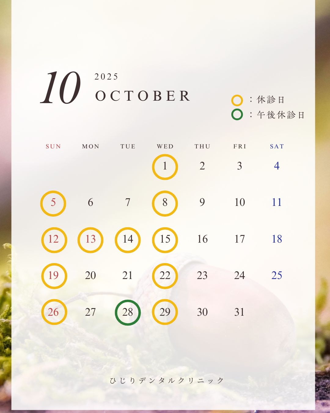 １０月の診療日のご案内です